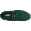 Vans Women’s Skateboarding(Canvas Verdent White)