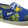 Vans Women’s Skateboarding(Multi)